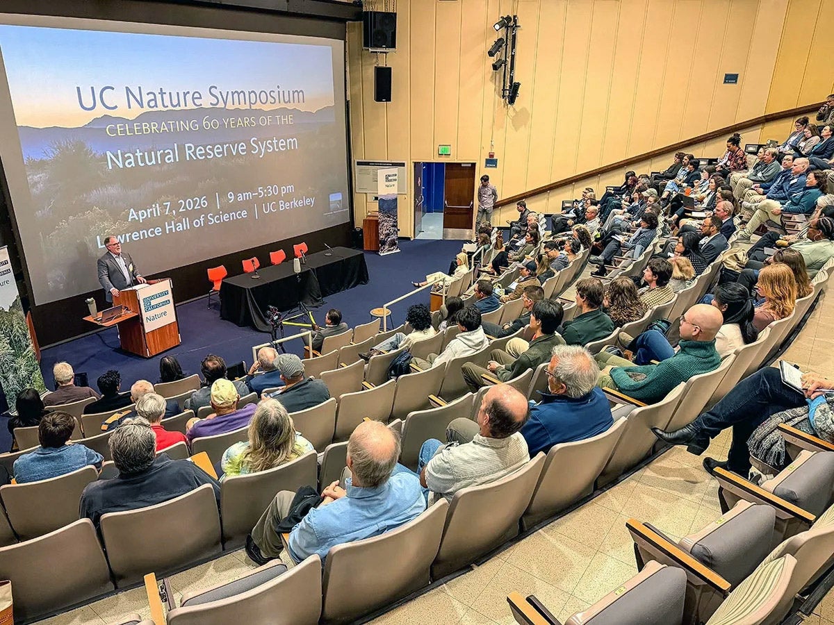 A view of an auditorium looking at a very large projector screen