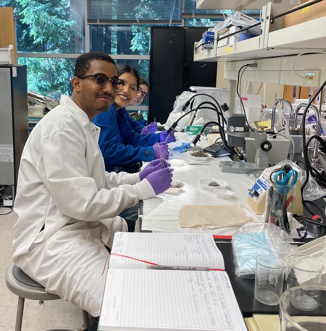 Students working in a scientific lab