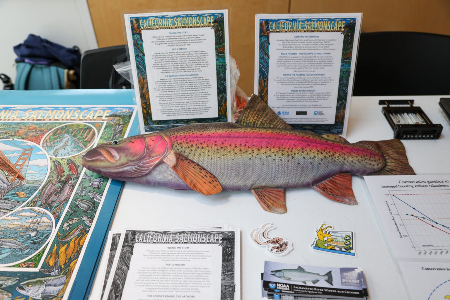 A plush salmon next to a stack of beautifully designed posters of the California Salmonscape on a table