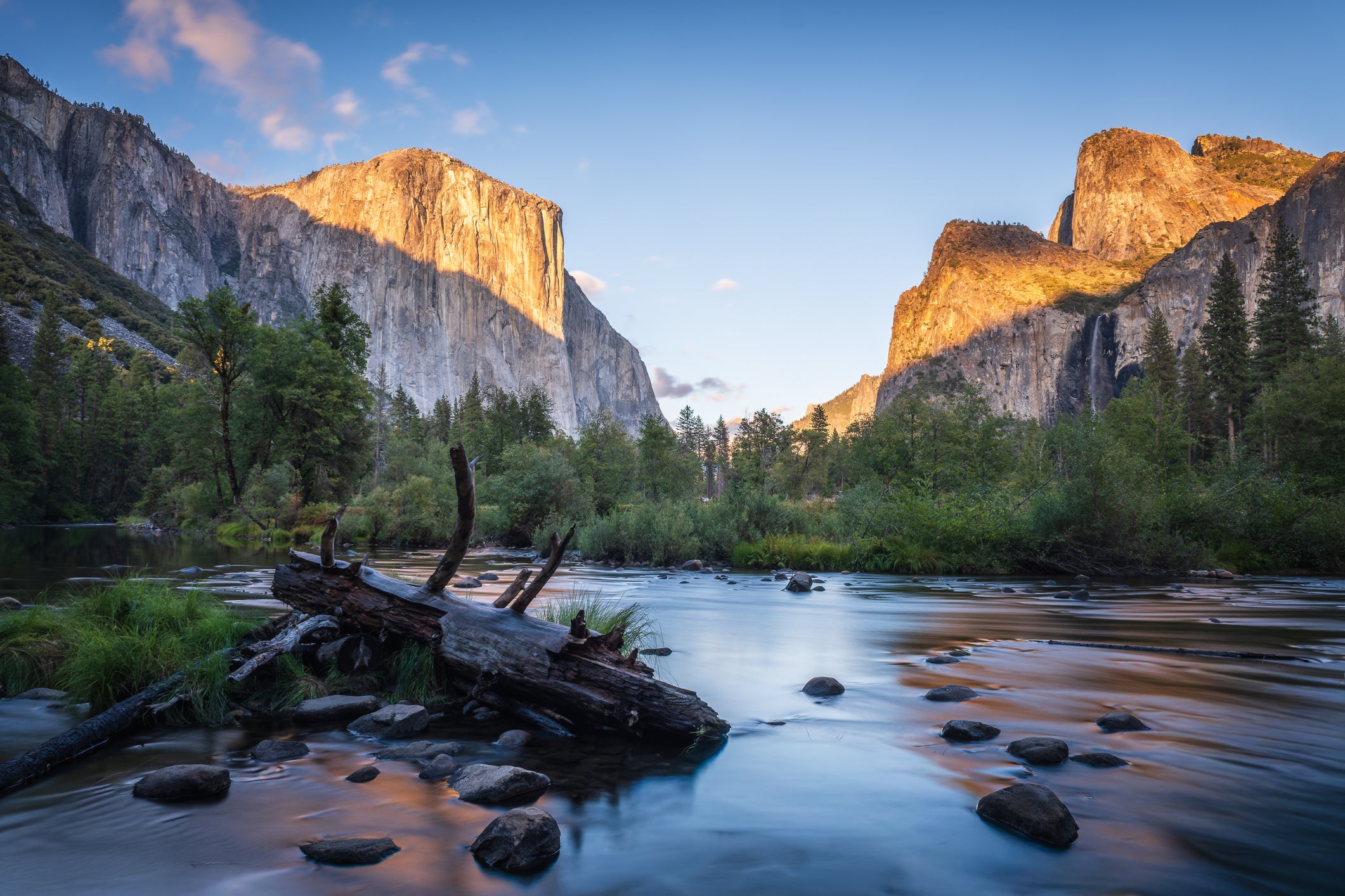 The Merced River flows past a fallen tree beneath sunlit granite cliffs and Bridalveil Fall in Yosemite Valley.