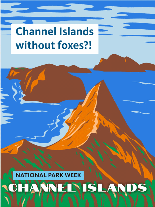 Illustrated poster of rugged Channel Islands rising from a bright blue ocean. Text reads, “Channel Islands without foxes?!” and “National Park Week: Channel Islands.”