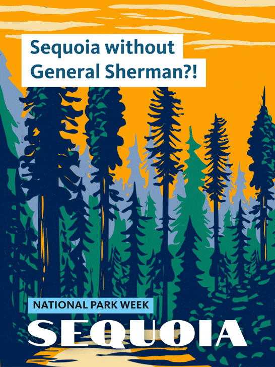 Illustrated poster of towering giant sequoias beneath an orange sky. Text reads, “Sequoia without General Sherman?!” and “National Park Week: Sequoia.”