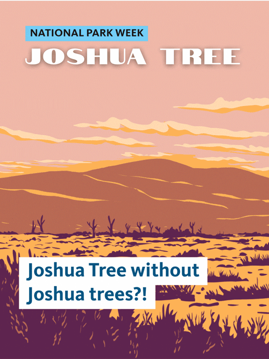 Animated graphic of a stylized desert landscape at Joshua Tree National Park, with the text “National Park Week,” “Joshua Tree” and “Joshua Tree without Joshua trees?!”