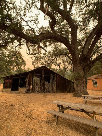 The historic Scott Barn at Hastings Natural History Reservation