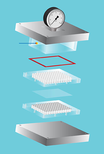 The components of PMF