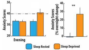 anxiety score chart