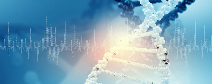 Bioinformatics will link cancer genomics to new therapie