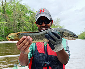 Study co-author Solomon David of Nicholls State University holds a bowfin, another underdog of the native fish world. 