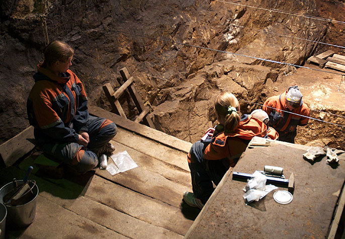 Denisova excavation (Neanderthal)