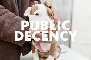 Public decency