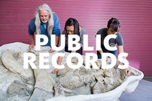 Public records