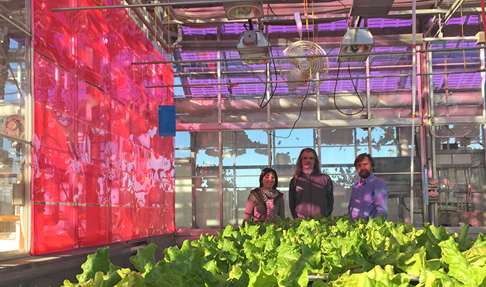 Melissa Osborn and two others standing in a Soliculture greenhouse