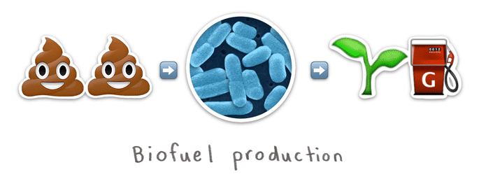 Biofuel production process