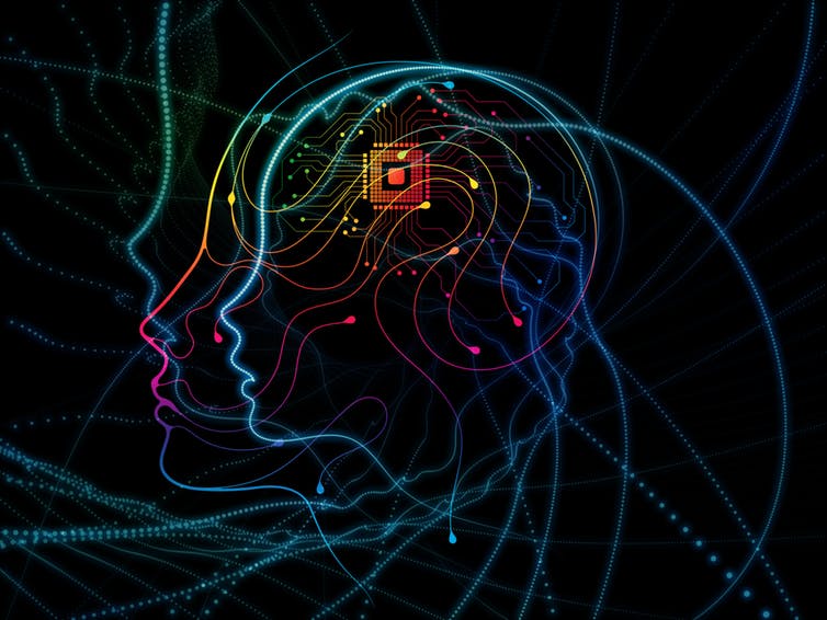 brain illustration brain illustration