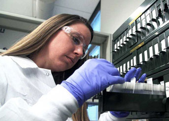 Brittany Dugger searching through samples in the lab