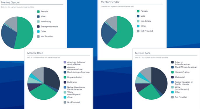 Charts depicting demographics of mentees