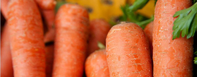Genome sequencing reveals how carrots have become good at accumulating carotenoids, the pigment compounds that give them their characteristic colors and nutritional richness.