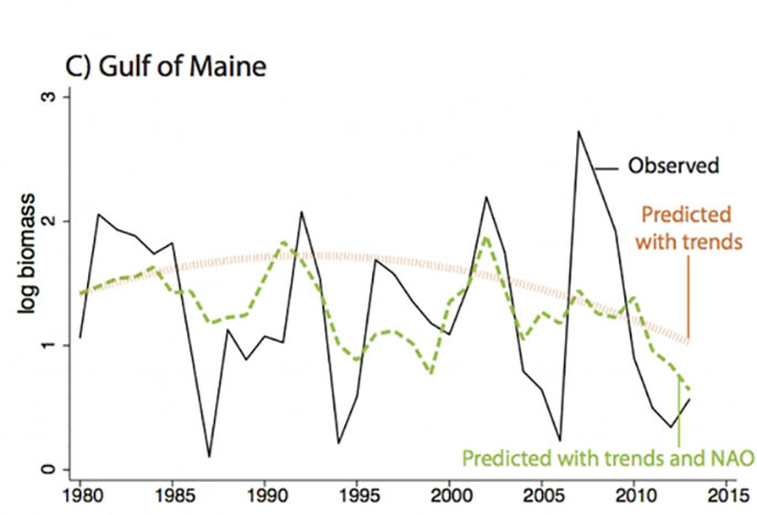 cod biomass trends UC Santa Barbara