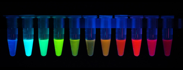 GFP color variations