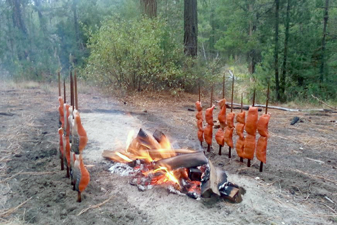 Salmon cooking open fire