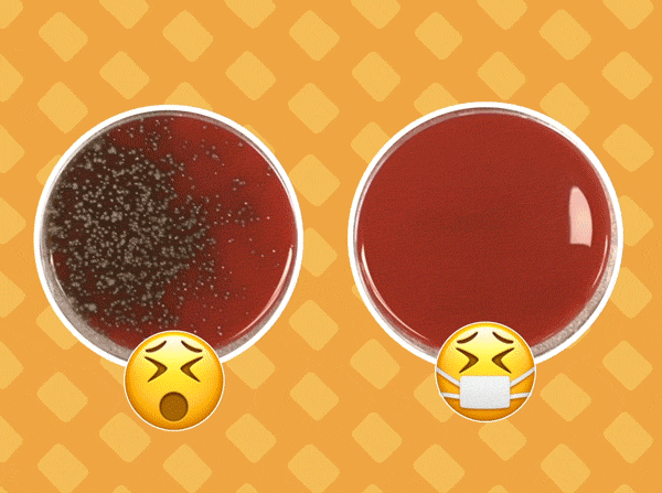 Petri dish of person who coughs with or without a mask, with emojis