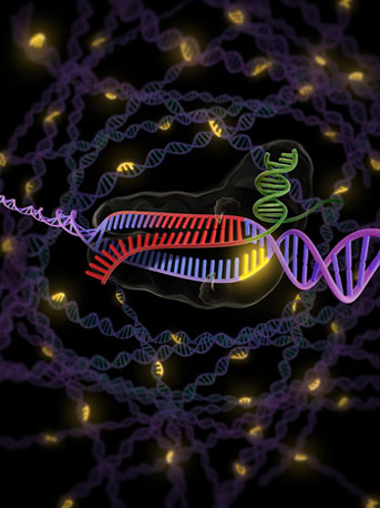 CRISPR illustration