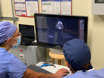 Doctors looking at computer screen with Cronutt the sea lion brain scan