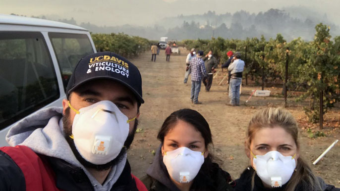 Three people with masks stand in a smoky vineyard