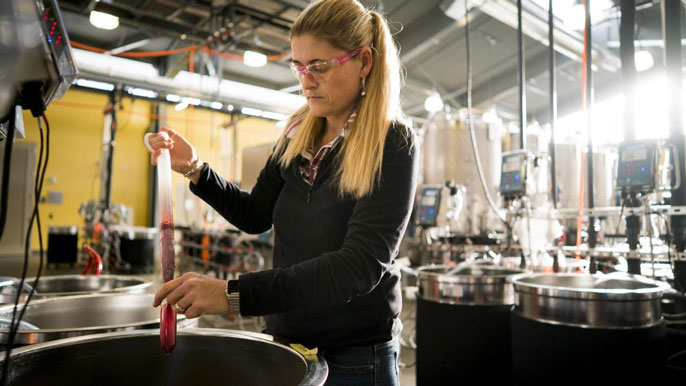 Woman analyzing wine contaminated with smoke