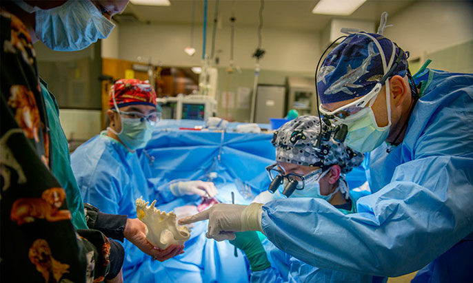 Veterinary surgeon Boaz Arzi in operating room