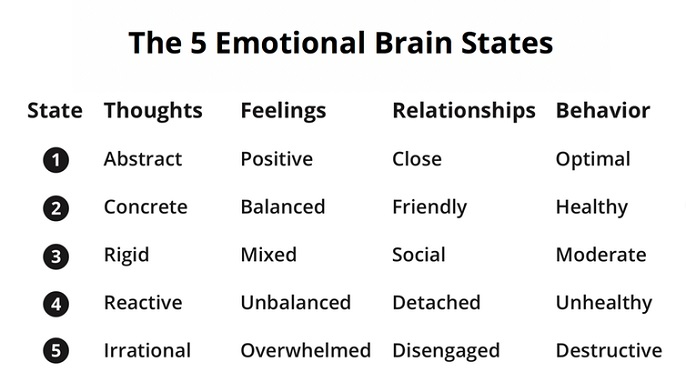 list of emotional brain states