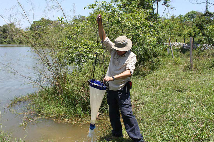 Professor Nelso with plankton net