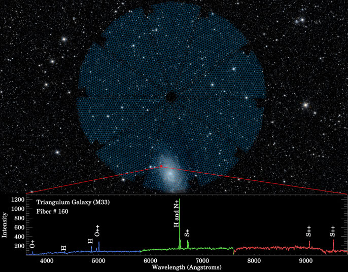 earth cosmos wedge