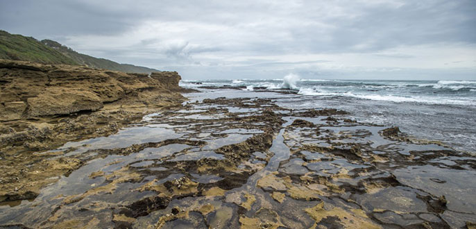 Tide pools California researchers Tide pools California researchers