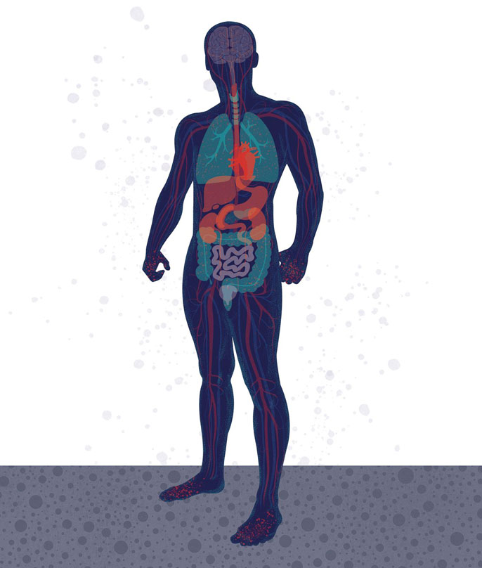Illustration of a body and its organs