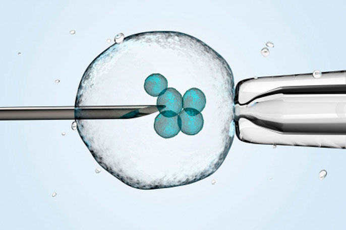 In vitro fertilization illustration