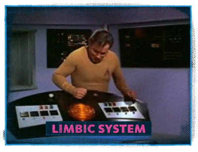 Captain Kirk from Star Trek labeled as the limbic system