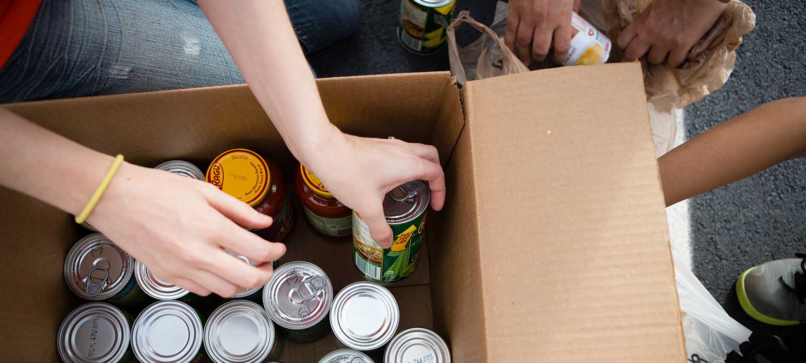 hands inside a box, organizing food donations