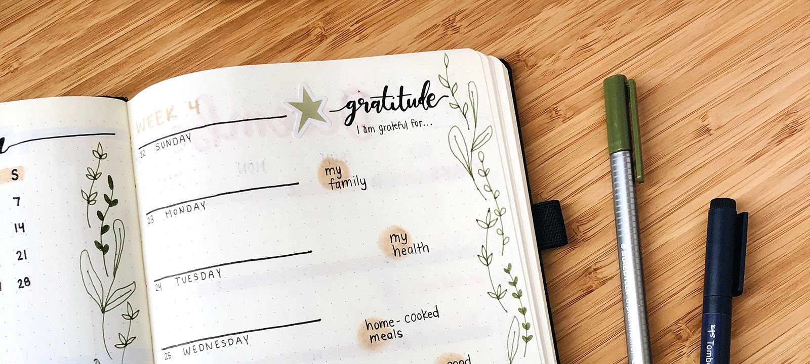 Frida gratitude journal