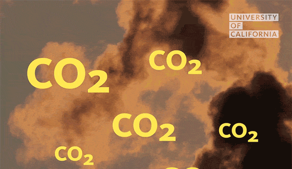 CO2 floating in a cloud of smoke