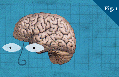 An illustration of a brain with a hand point to specific areas of it