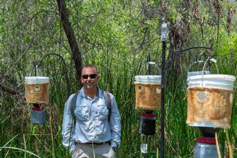 Mark Hoddle in the field with traps