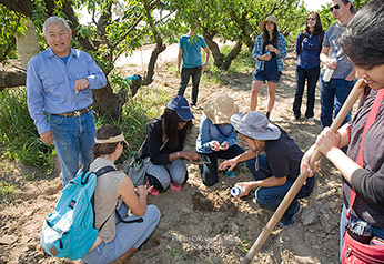 student fellows digging at Masumoto Family Farm