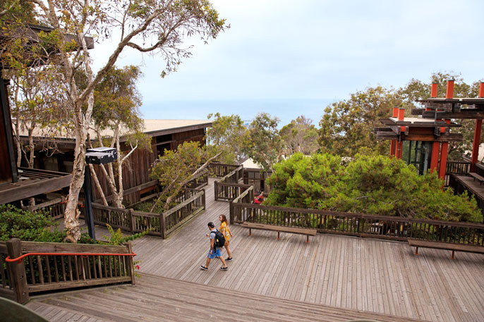 Two students walk on a beautiful campus patio