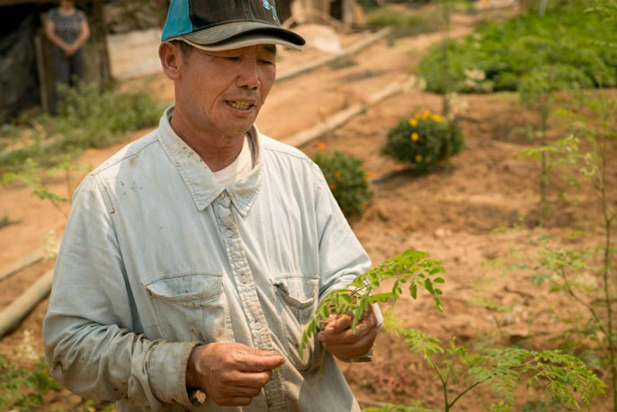 man in cap holds moringa