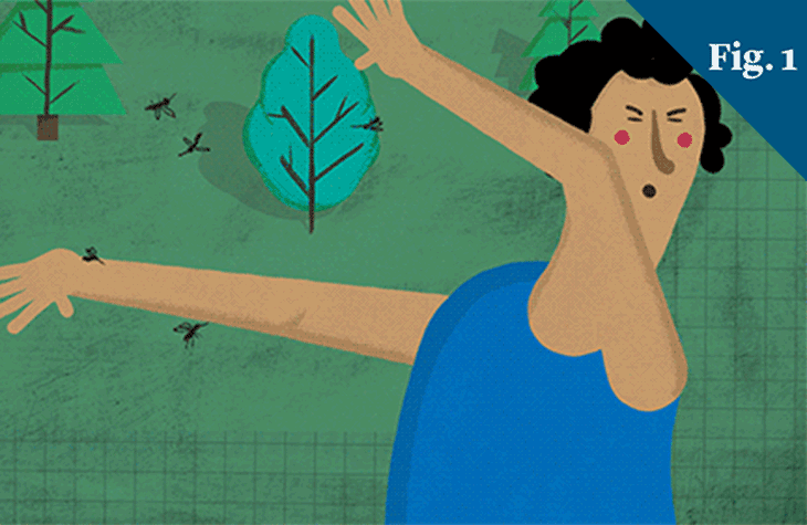 The search for a safer mosquito spray