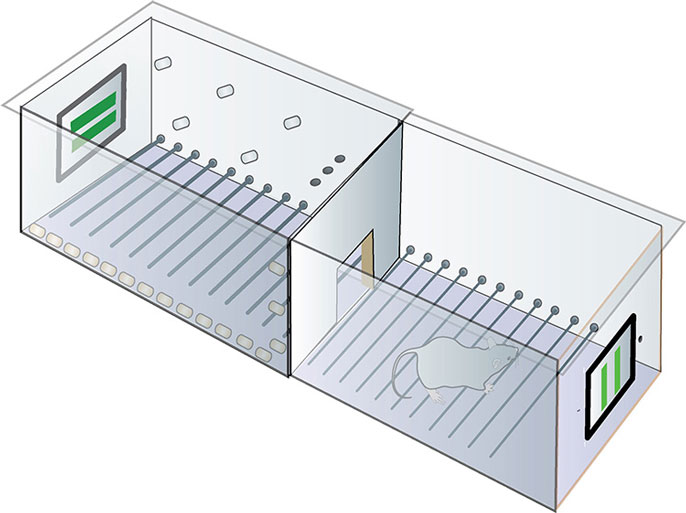 diagram of iPad learning cage