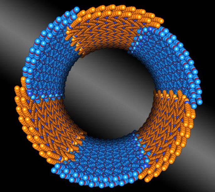 nanotubes