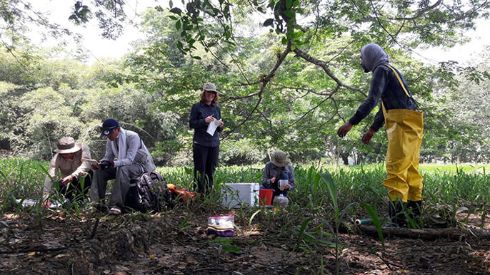 UC San Diego researchers of hippo zoo