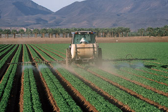 Tractor spraying pesticide